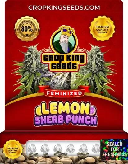lemon-sherb-punch-image