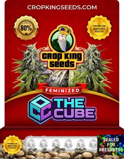 The Cube