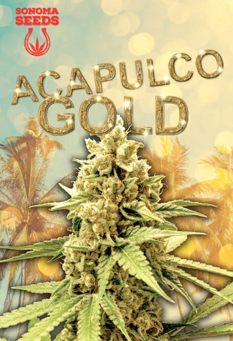 acapulco-gold-image
