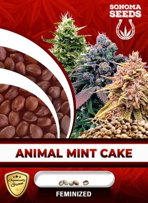 animal-mint-cake-image
