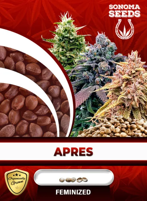 apres-image