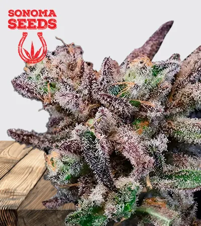Banana Cream Sundae