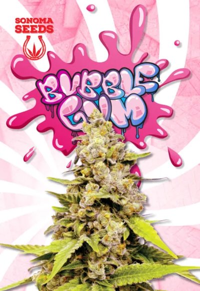 Bubblegum