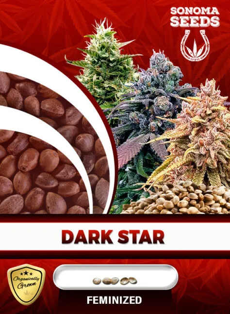 dark-star-image