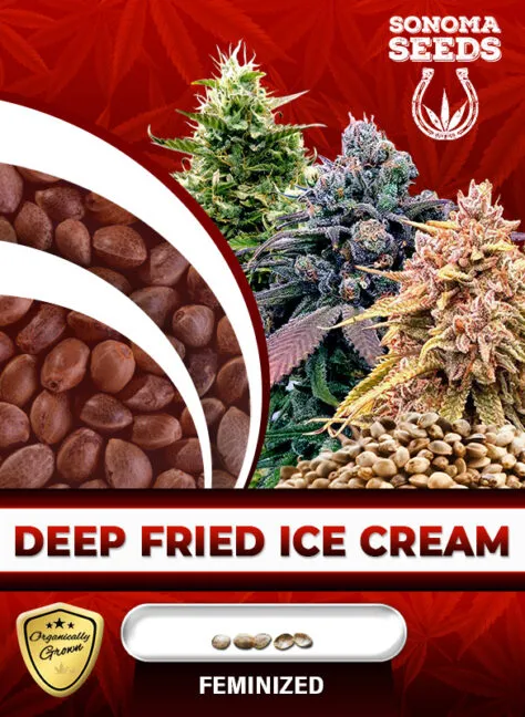 deep-fried-ice-cream-image