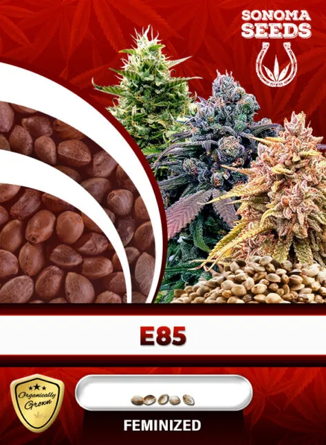 e85-image