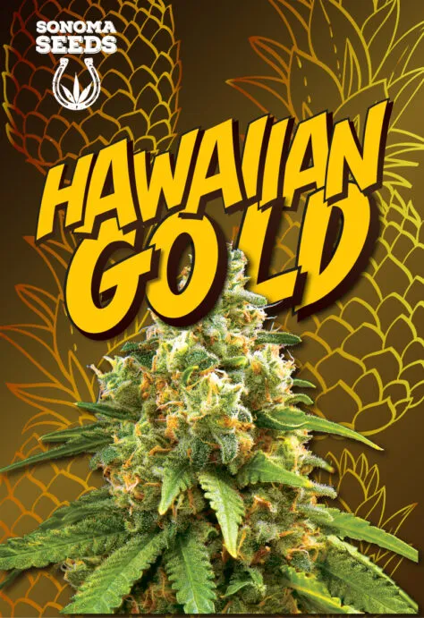 hawaiian-gold-autoflowering-image