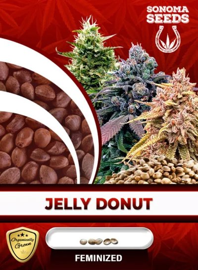 Jelly Donut