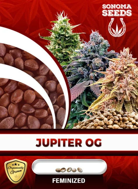jupiter-og-image