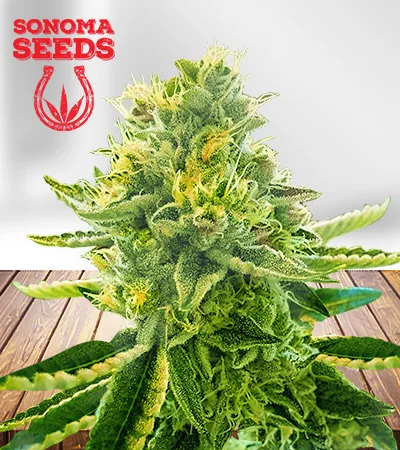 La Kush Cake