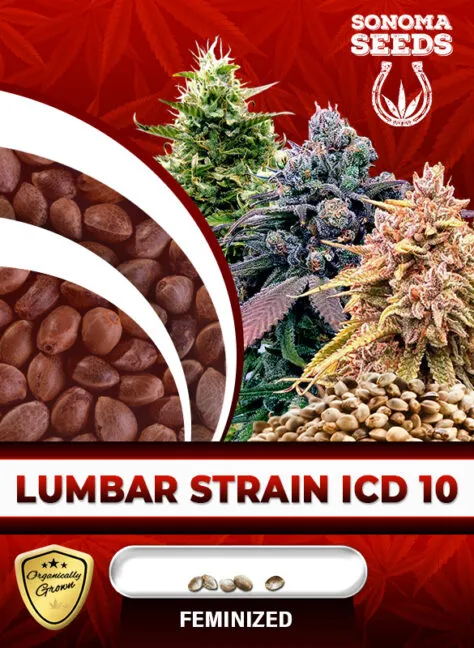 lumbar-icd-10-image