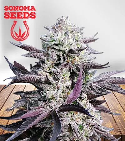 mandarin-cookies-image