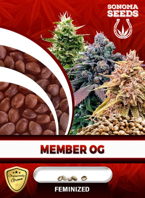 member-og-image