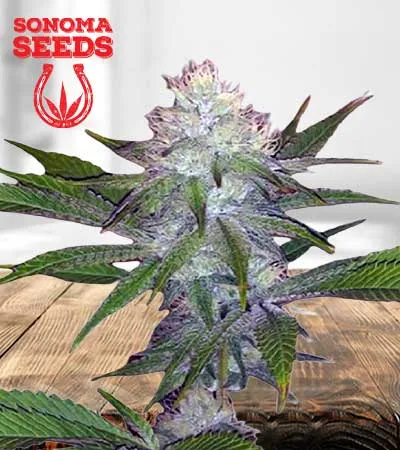 og-wedding-cake-image