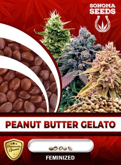 Peanut Butter Gelato