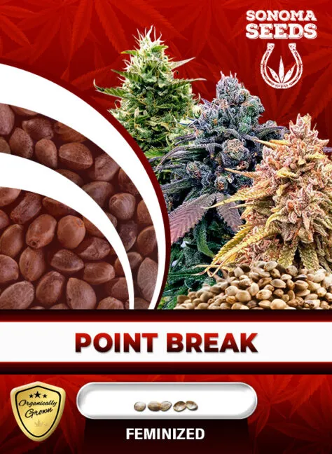 point-break-image