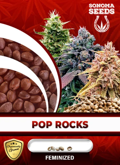 pop-rocks-image