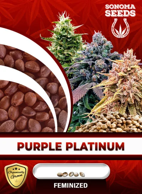 purple-platinum-image