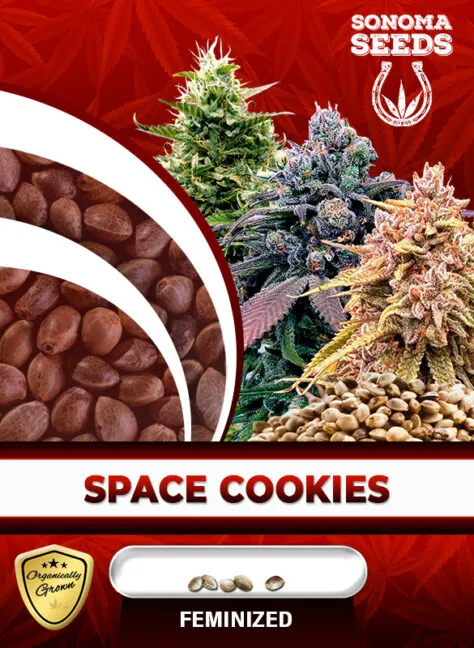 space-cookies-image
