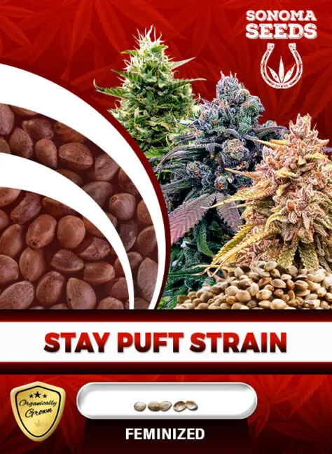 stay-puft-image