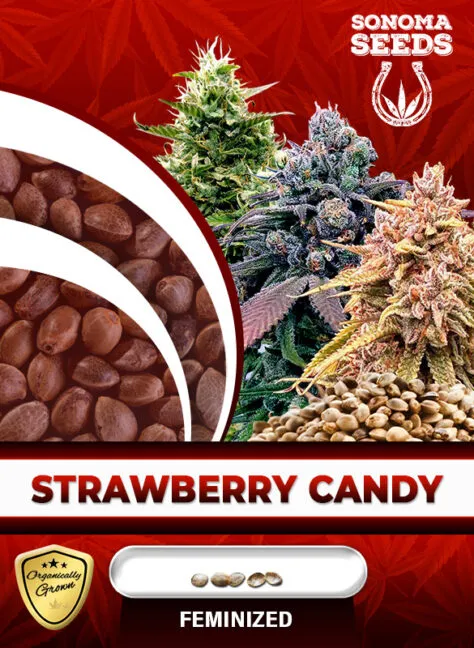 strawberry-candy-image