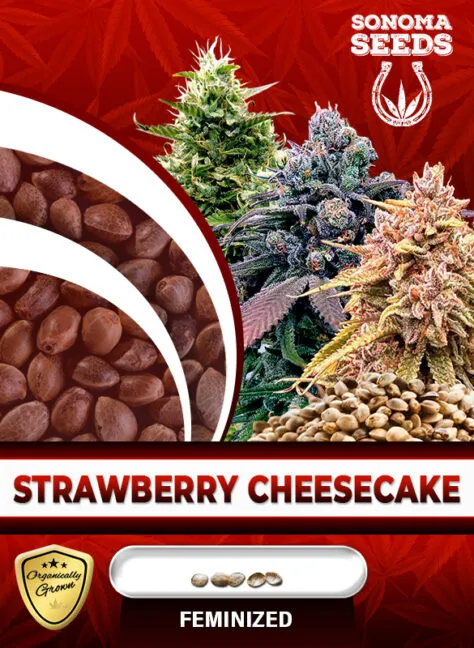 strawberry-cheesecake-image