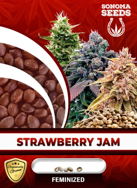 strawberry-jam-image