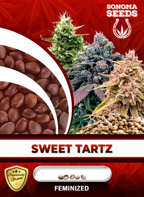 sweet-tartz-image