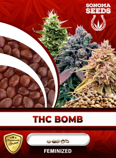 thc-bomb-image