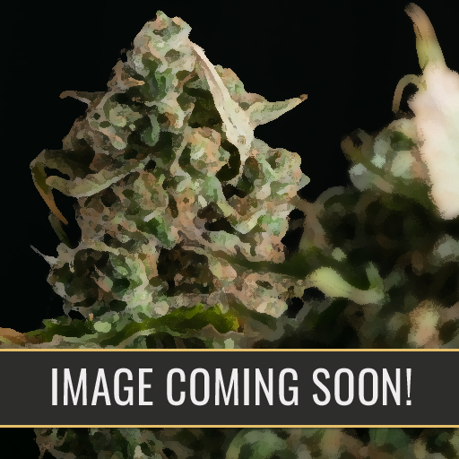 zombie-death-fuck-image