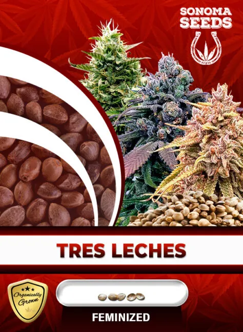 tres-leches-image