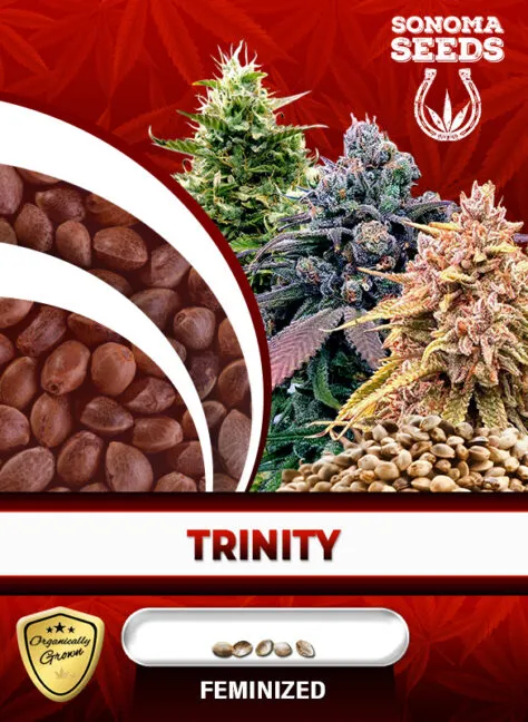 trinity-image
