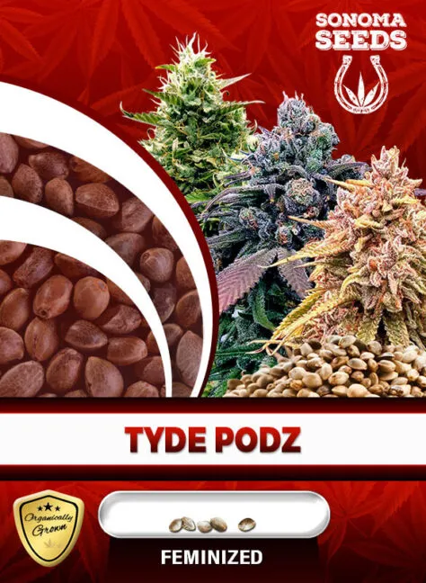 tyde-podz-image