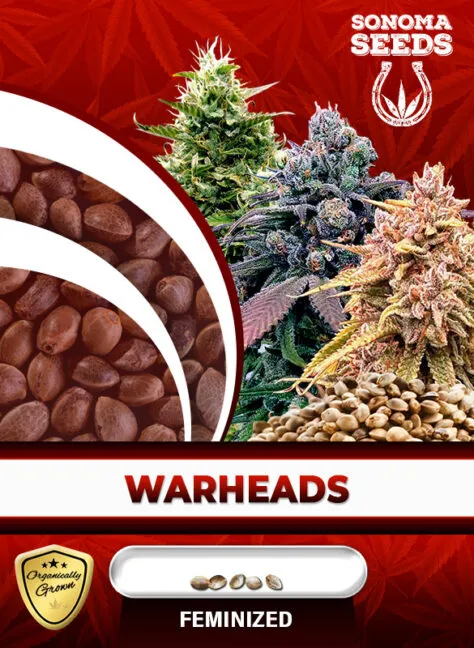 warheads-image