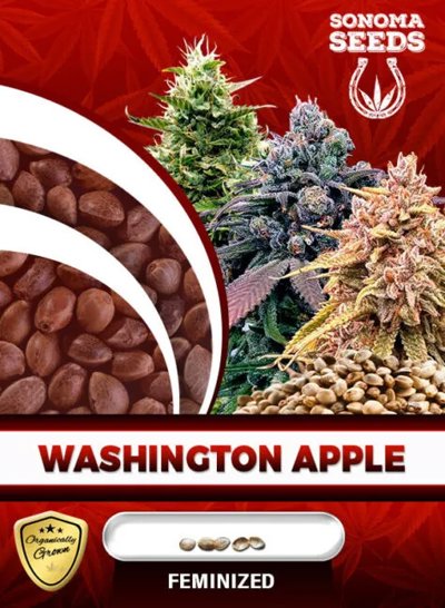 Washington Apple