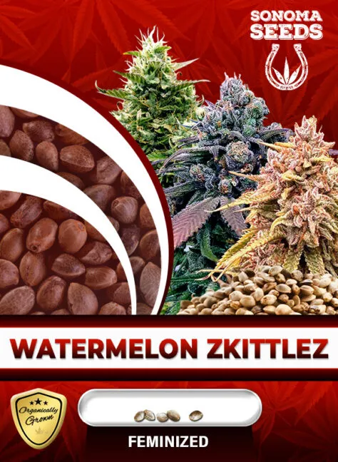watermelon-zkittlez-image