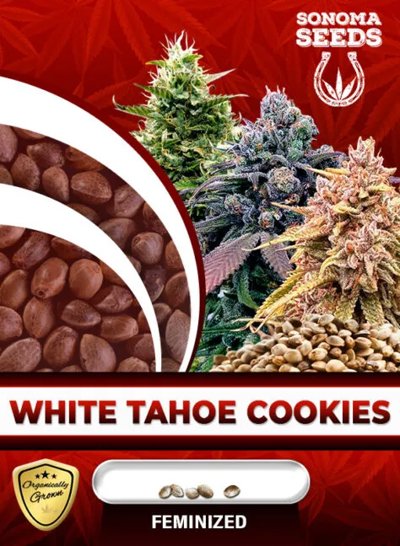 White Tahoe Cookies