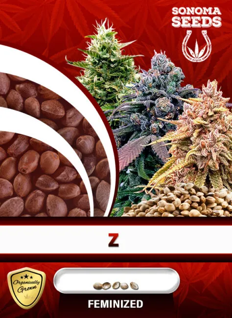 z-image