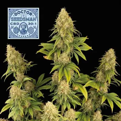 Doctor CBD 30:1