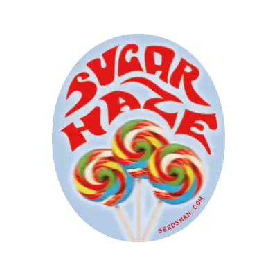 Sugar Haze Regular