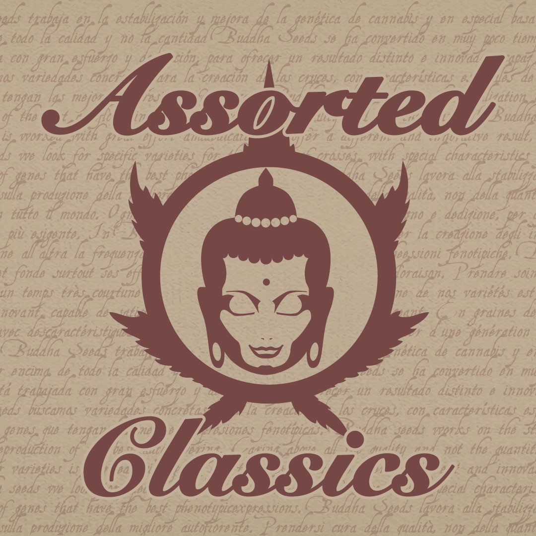 assorted-classics-image