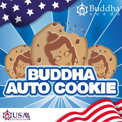 Auto Cookie