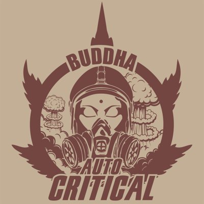 Auto Critical