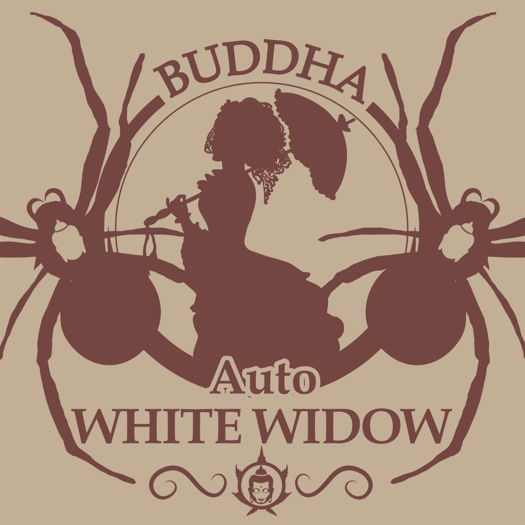 auto-white-widow-image