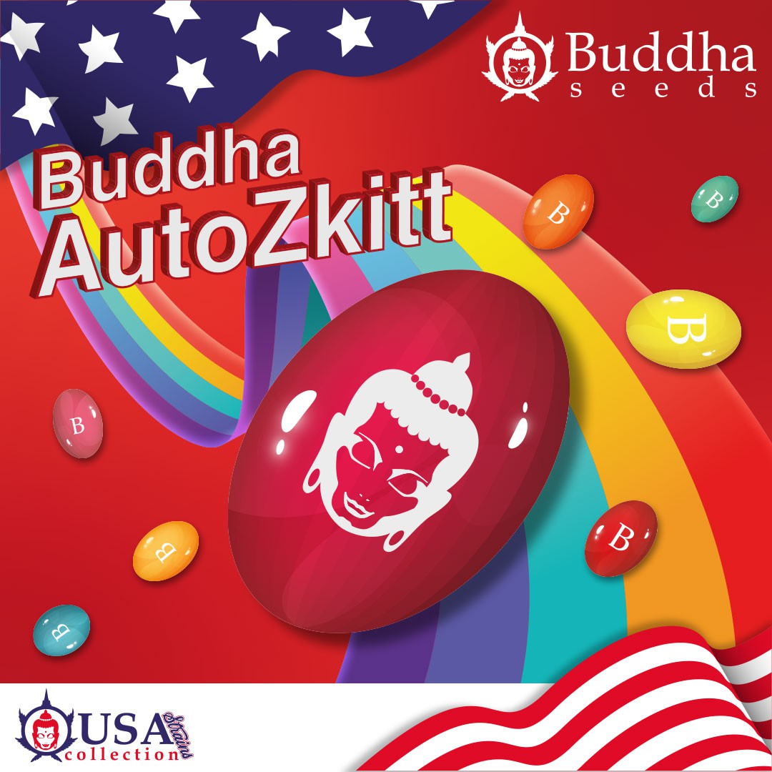 auto-zkitt-image