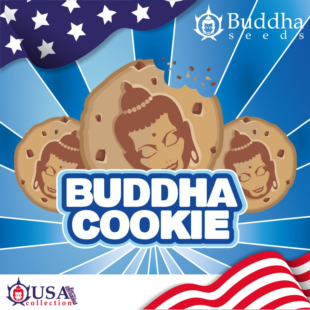 cookie-image