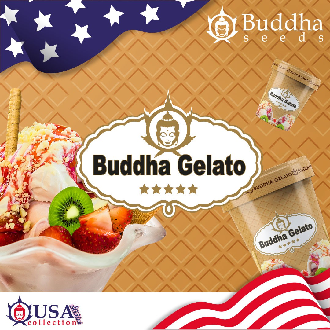 gelato-image