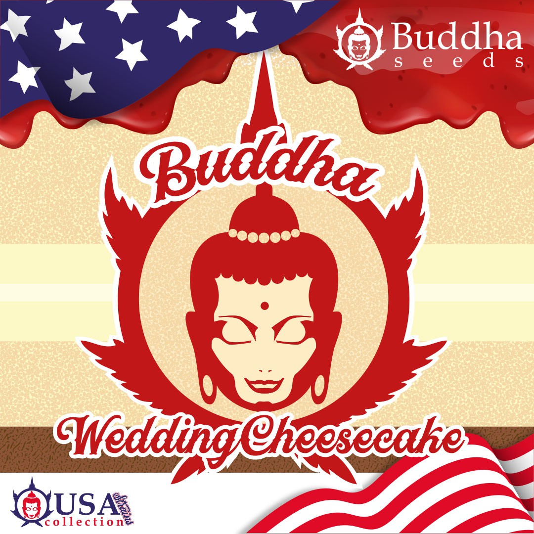 wedding-cheesecake-image