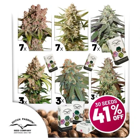 autoflower-package-deal-image