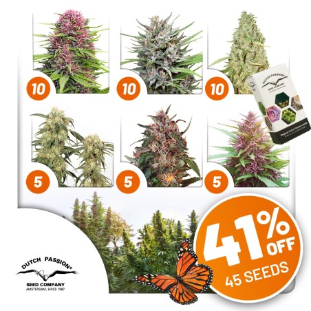 outdoor-package-deal-image